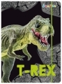 Teczka z gumką Bambino dla chłopca A4 T-REX dinozaur